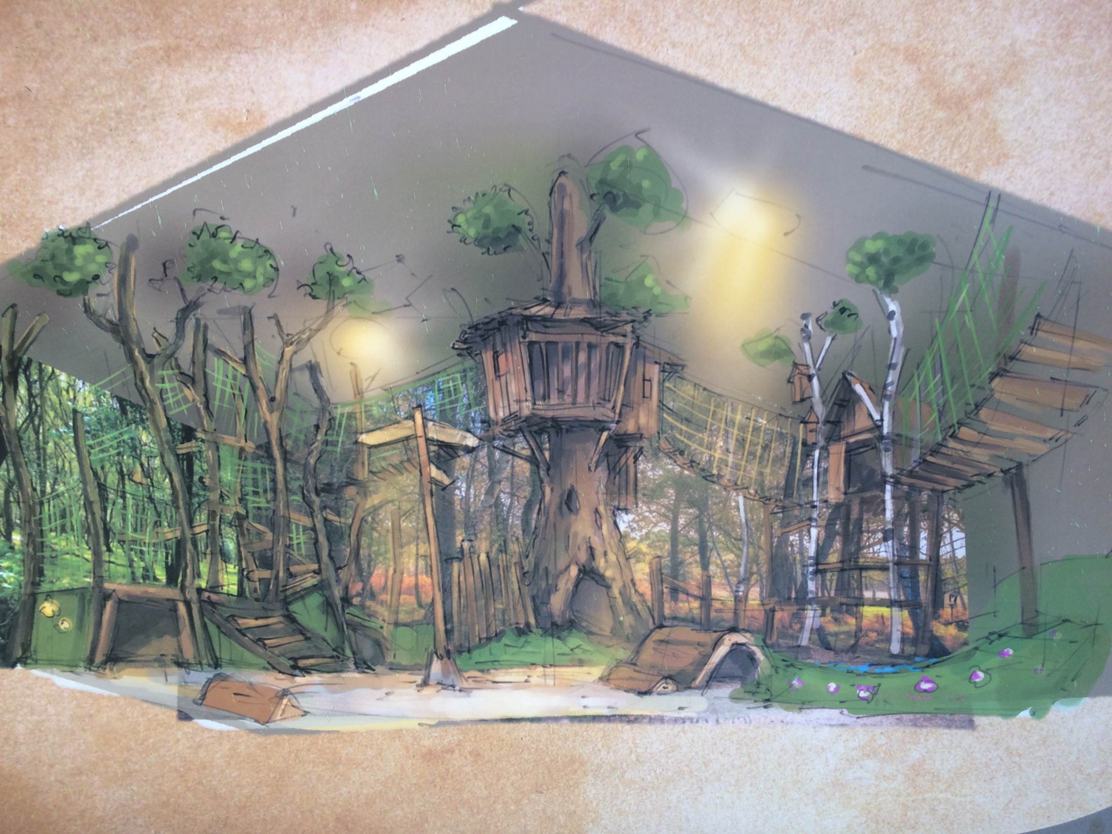Concept sketch for the woodland indoor play environment